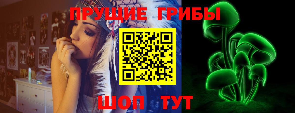 Ноябрьск  Псилоцибиновые грибы мухоморы  Вход с VPN 